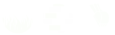 V (3) 4 (2)